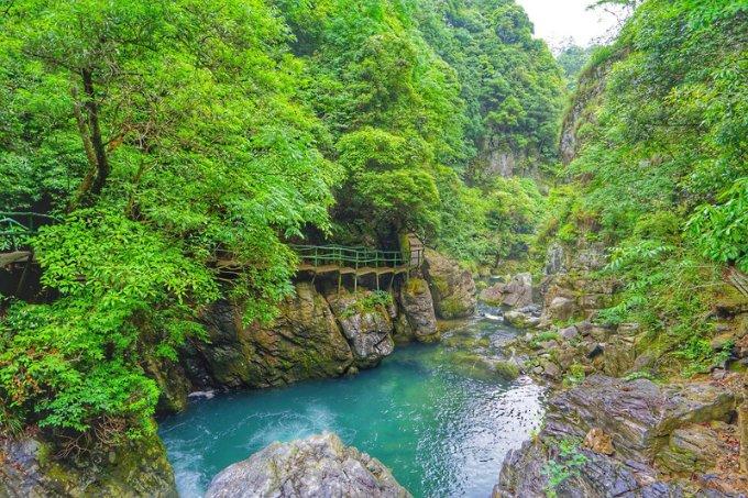 “大连大樱桃”提前迎来销售季，供应全国市场